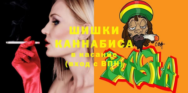шишки Карпинск