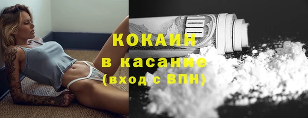гидра Горнозаводск