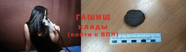 гидра Горнозаводск