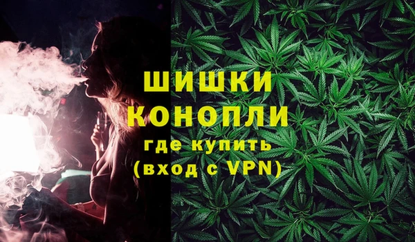 гидра Горнозаводск