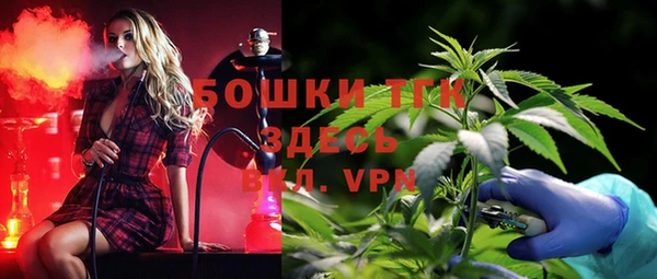 гидра Горнозаводск