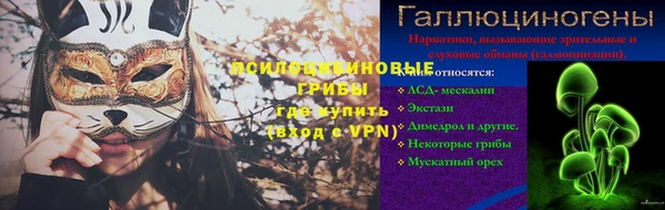 гидра Горнозаводск