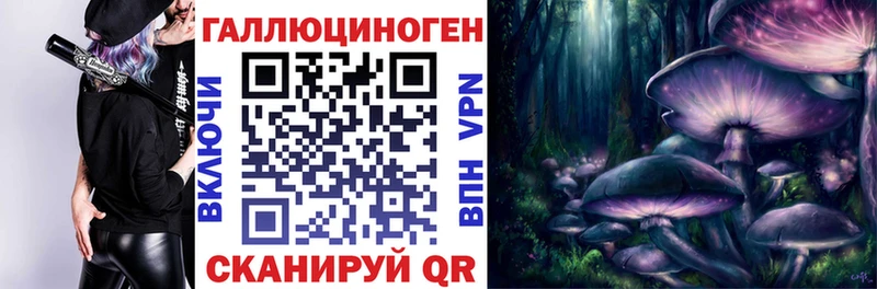 Галлюциногенные грибы мухоморы  хочу наркоту  Кашин 